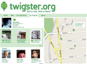 twigster profile page